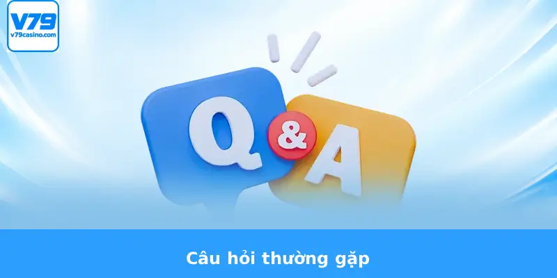Giới Thiệu V79 3 Câu hỏi thường gặp